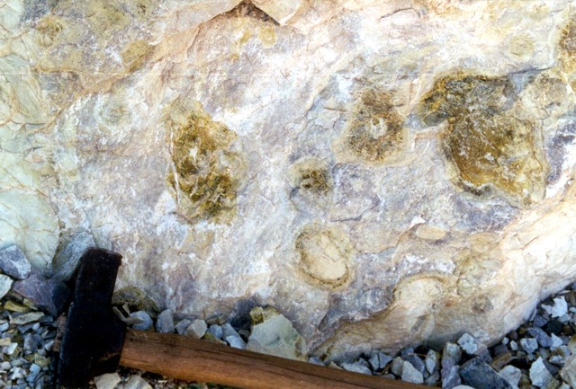 close-up of mottled serpentine-dolomite