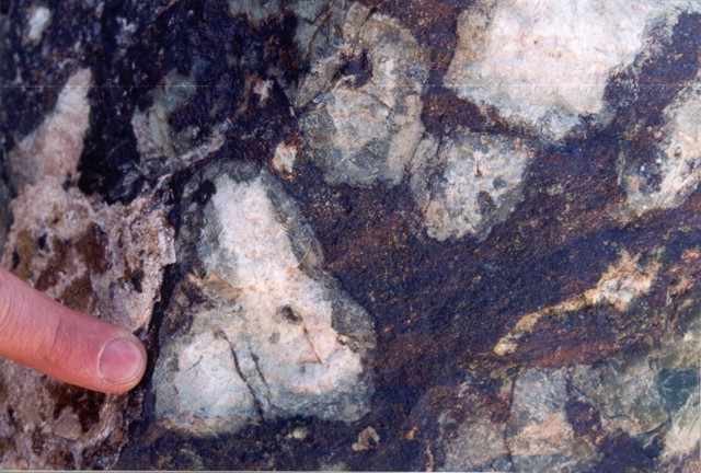 magnesian magnetite skarn