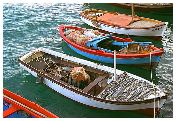 picture of boats